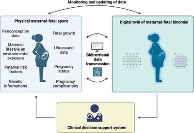 Maternal and fetal health in the digital twin era